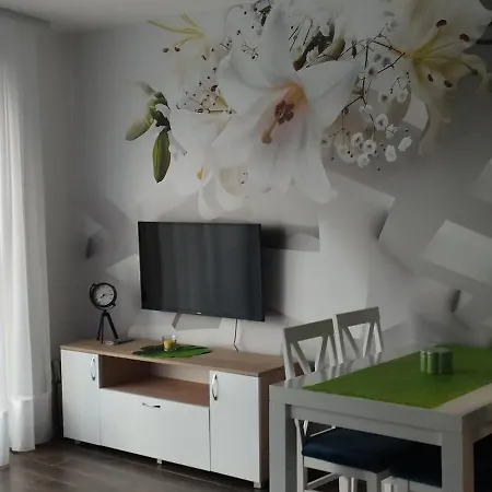 Centar Ceperkovic Apartmán *