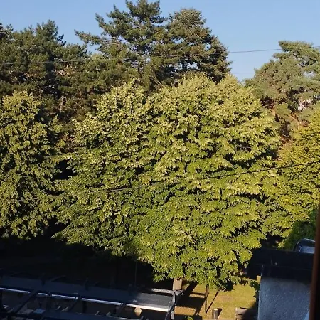 Centar Ceperkovic Apartman