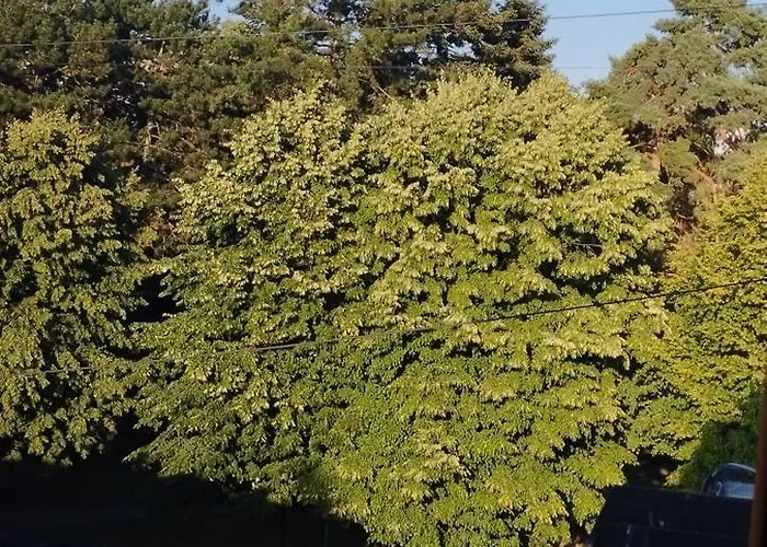 Centar Ceperkovic Apartamento